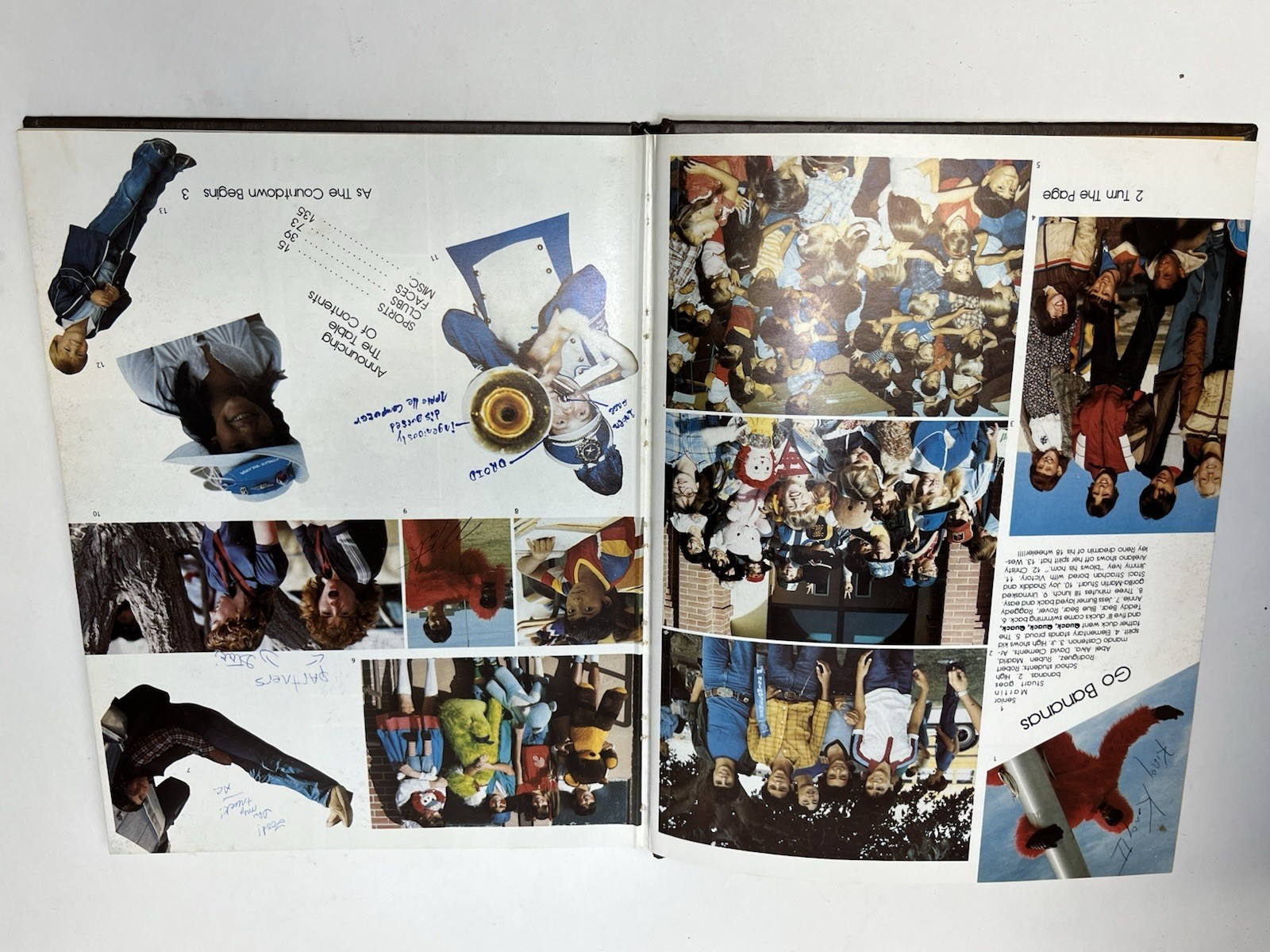 Picture 6 of 10