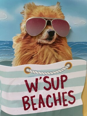 Papyrus Funny Dog Blank Greeting Card - W Sup Beaches - All Occasion+ 3D + Seal
