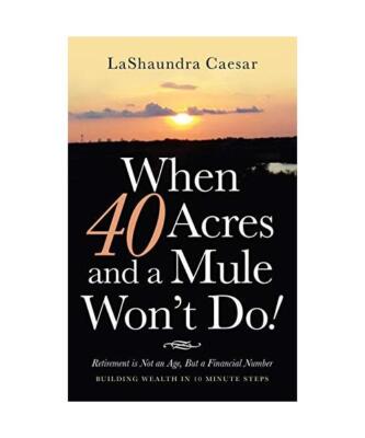 When 40 Acres and a Mule Won't Do!: Retirement Is Not an Age, but a Financial Nu