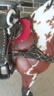 Bild 9 von 24
