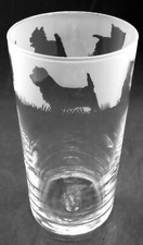 CAIRN TERRIER Frieze Boxed 57cl Conical 1 Pint Glass