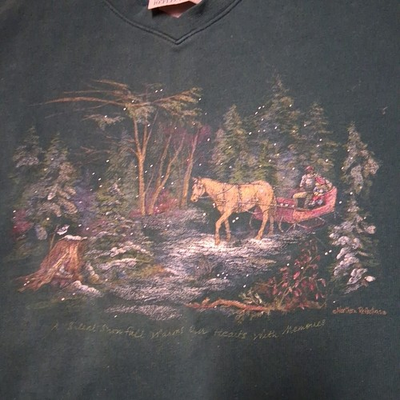 #ad VTG Northern Reflections Sweatshirt Womens XL? Green V Neck Winter Sleigh 90s $19.99
