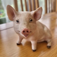 Fine Porcelain Pig - John Aynsley Piggy Figurine 1975 AYNSLEY