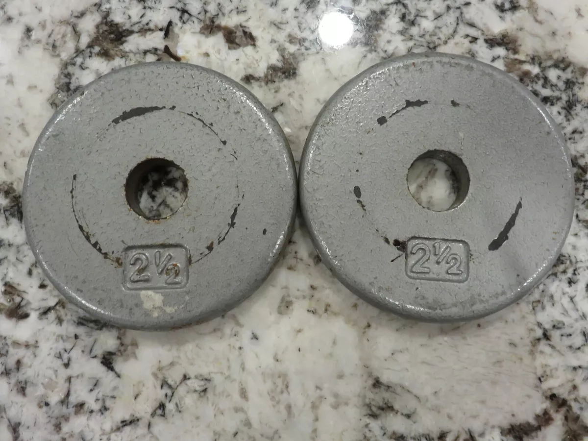 Two 2 1 2 lb Steel Weight Plates 1