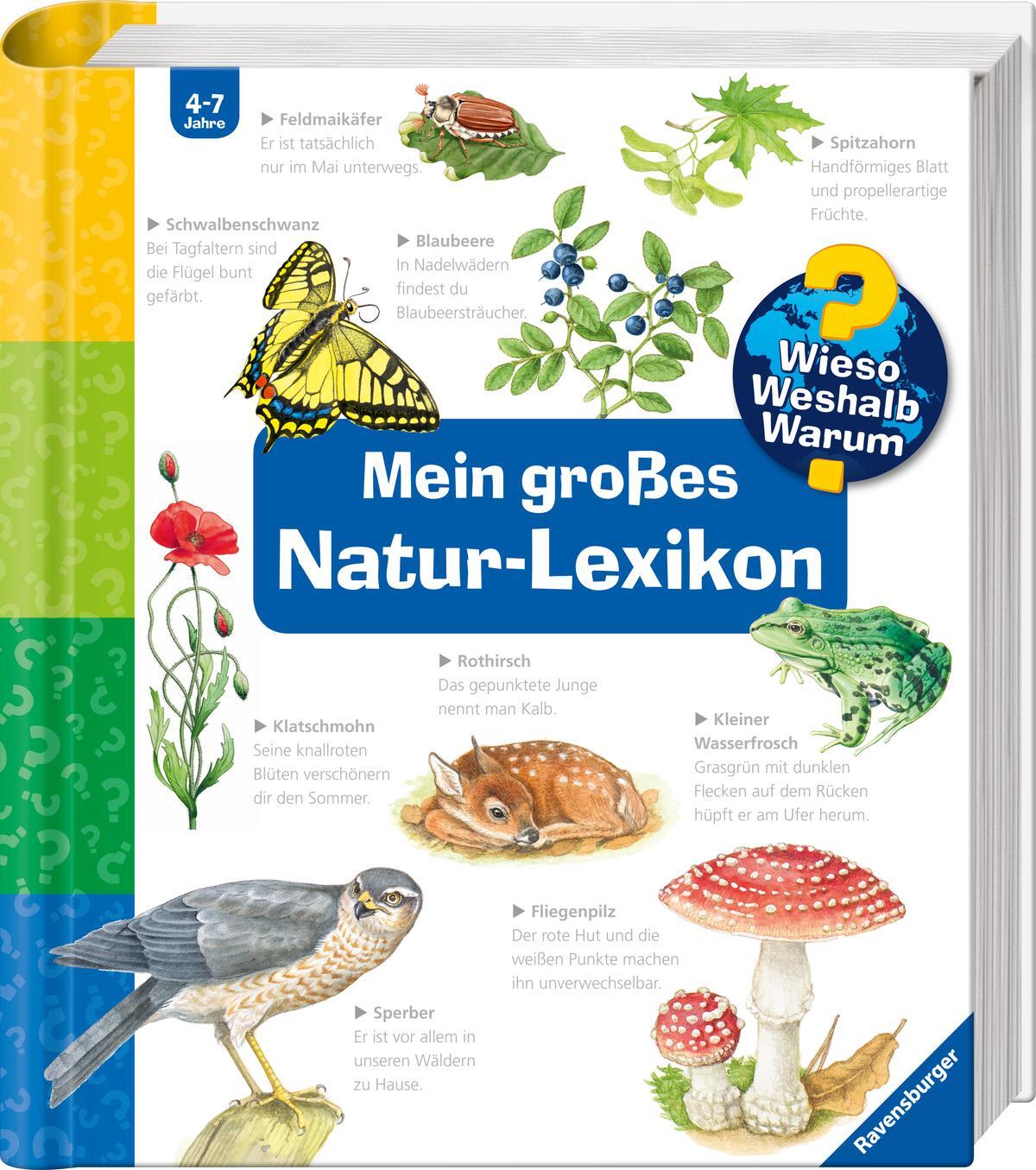 Thumbnail - Wieso? Weshalb? Warum?: Mein Großes Natur-lexikon, Sandra Noa