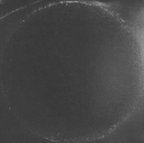 Triangulo De Amor Bizarro by Triangulo De Amor Bizarro [Audio CD]