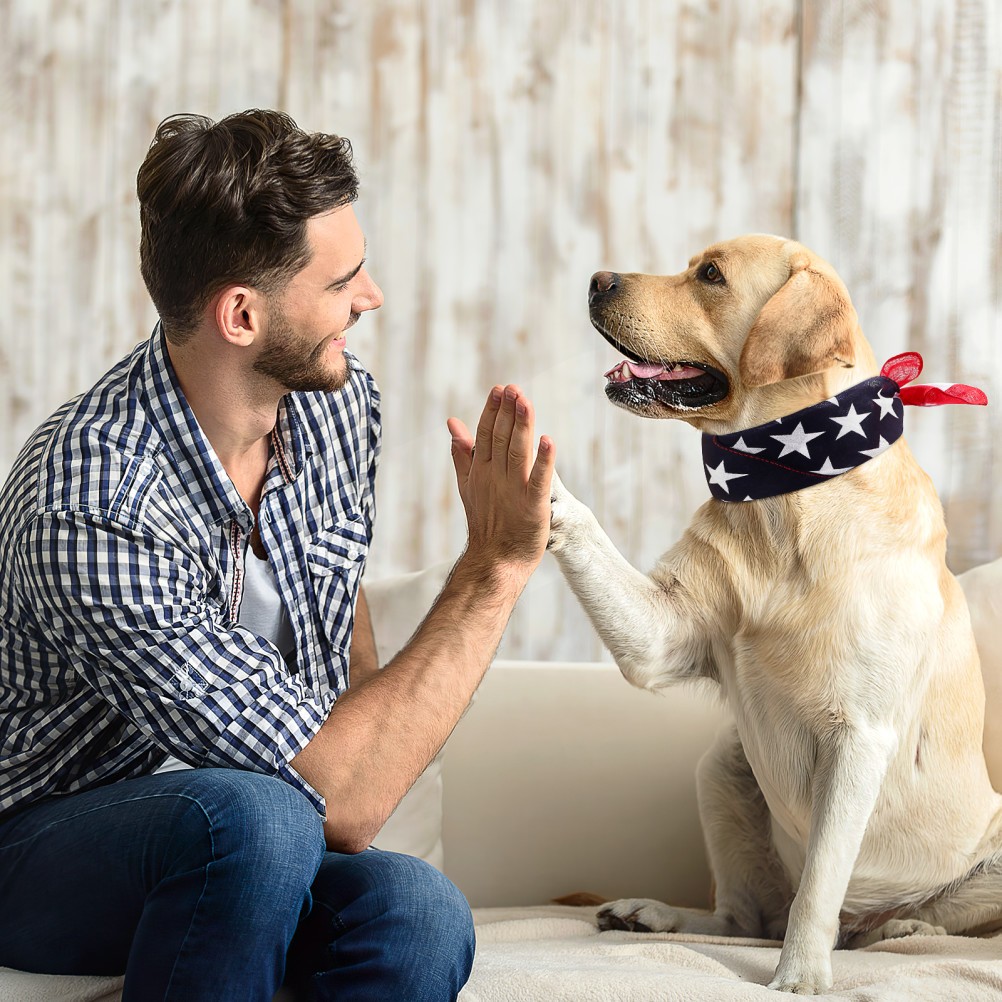 Bandana per cani con bandiera patriottica foto 2