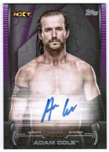 2021 TOPPS WWE UNDISPUTED WRESTLING SUPERSTAR AUTO PURPLE CARDS A-XX U-Pick List - Picture 2 of 9