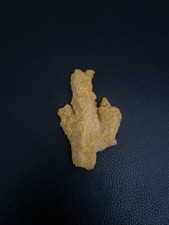 Chicken Finger Cactus