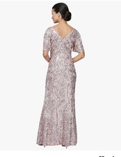 alex evenings plus size sequined lace a line dress FOR RENT main image 0