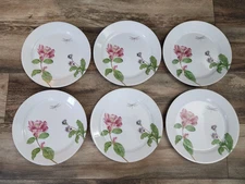 Corelle Camellia Dinner Plates | Set of 6 | 10.25"
