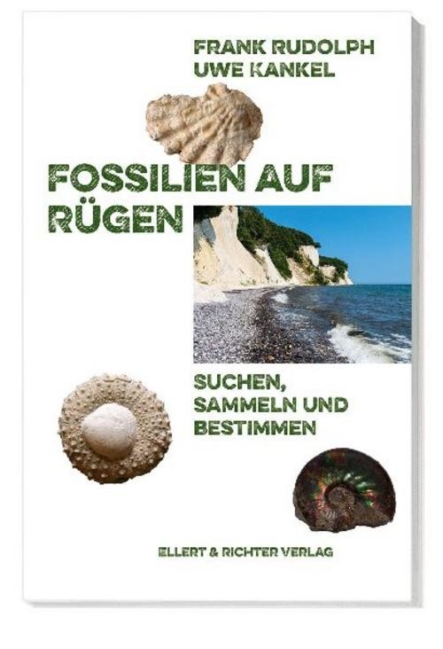 Fossilien auf Rügen Frank Rudolph