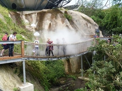 Foto A3 Eden Project [19] St Austell Die Brücke im Regenwald d c2017