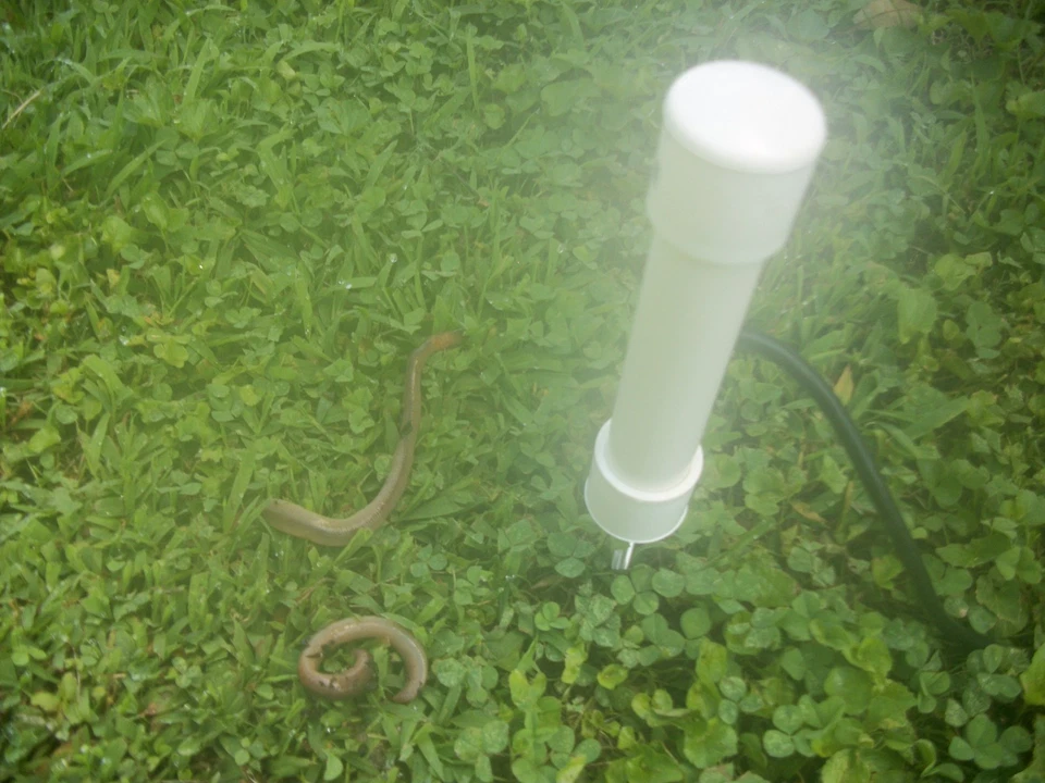 WORM SHOCKER! GUSANO DE TIERRA para pesca ((doble sonda)) Foto 2 de 4