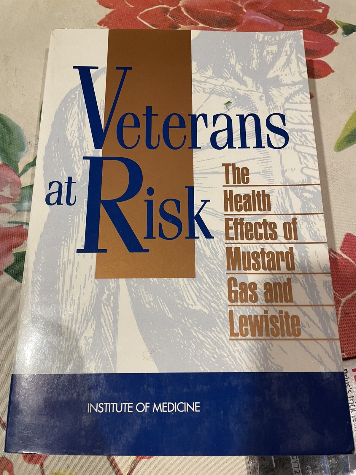 Veterans at Risk : The Health Effects of Mustard Gas and Lewisite by ...