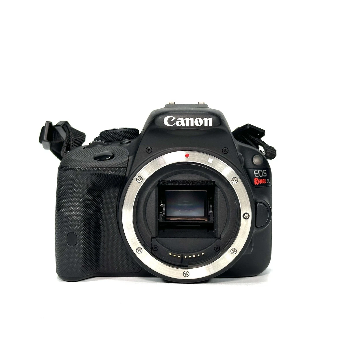 Canon EOS Rebel SL1 Digital Cameras for Sale - Shop New & Used 