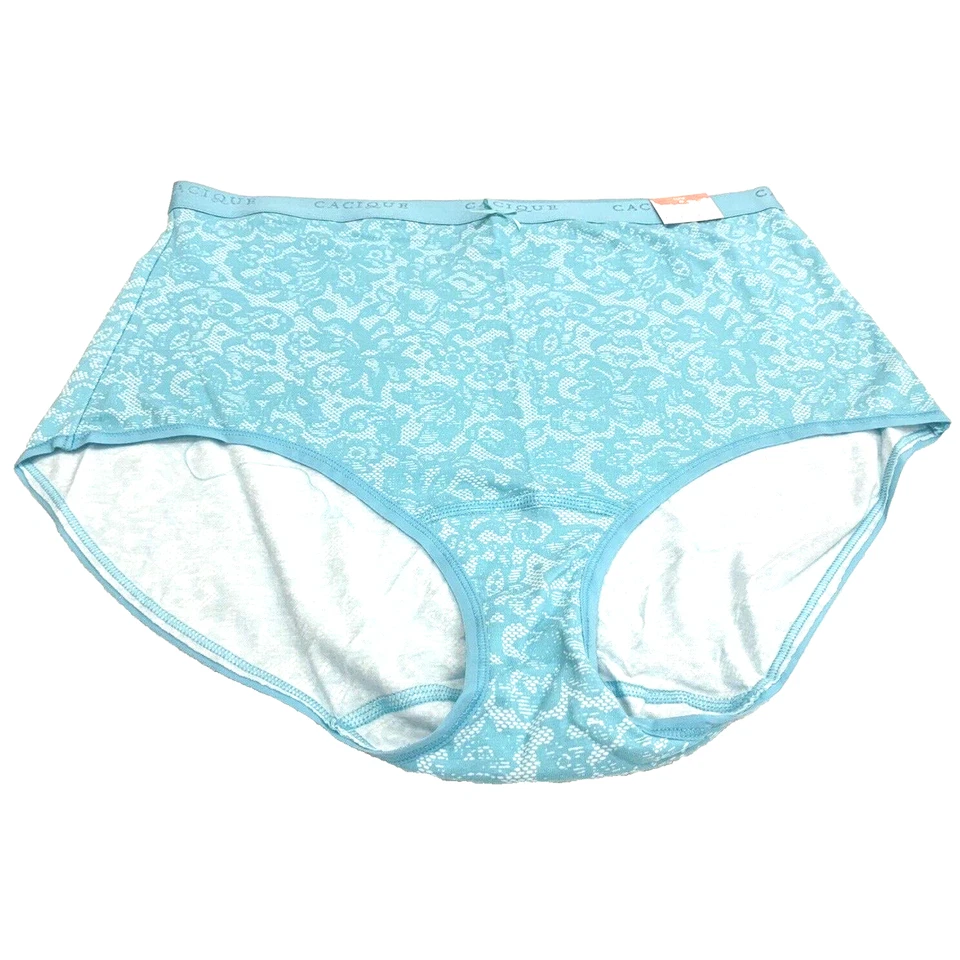 全新带标签 Lane Bryant Aqua 蓝色和白色高腰棉质内裤 18 20 1X — 第 2/4 张图片