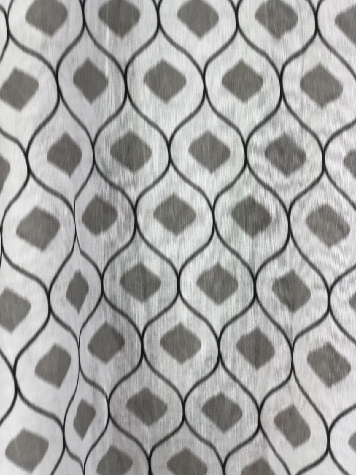 Foto 11 di 12