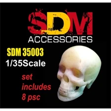 DAN Models SDM 35003 Scale Model Kit 1:35 Accessories for Diorama. Human Skull