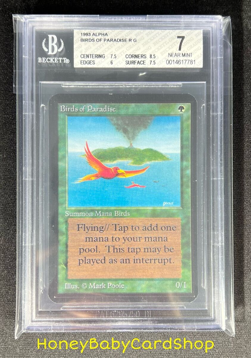 MTG Limited Edition Alpha 1993 Birds of Paradise BGS 7.0 NM MTG Limited Edition Alpha 1993 Birds of Paradise BGS 7.0 NM