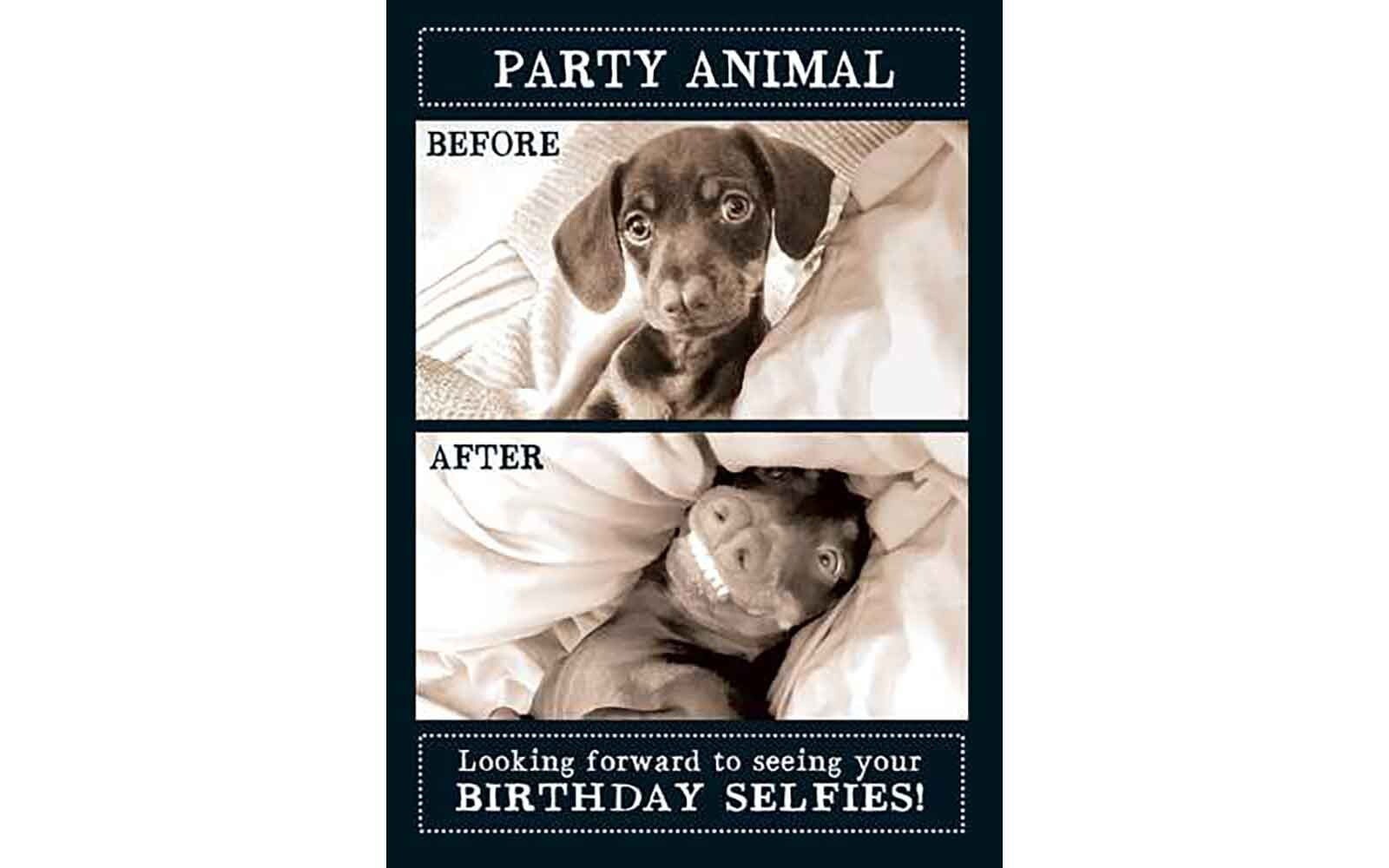 Funny Party Animal Dog Birthday Card – Animal Photography Greeting Card