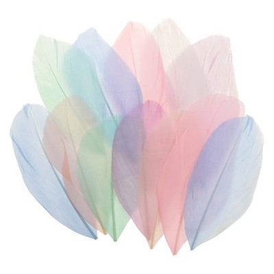 80 Pcs Light Colors Craft Goose Feathers 2-3.1 Inch Feathers Bulk for Crafting