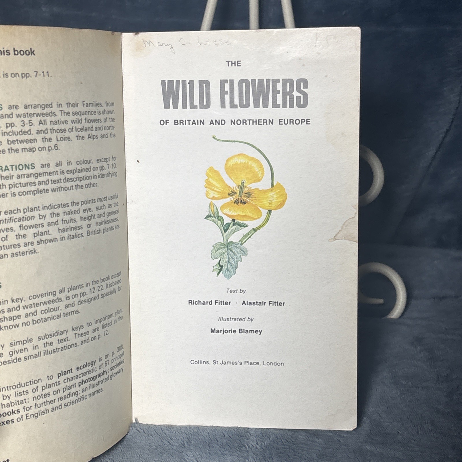 The Wild Flowers of Britain and Northern Europe by Richard Fitter 1974 PB