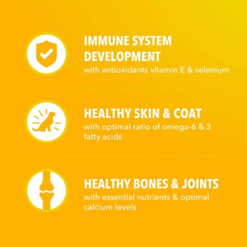 IAMS Proactive Health Chicken Flavor Large Breed Puppy Dry Dog Food