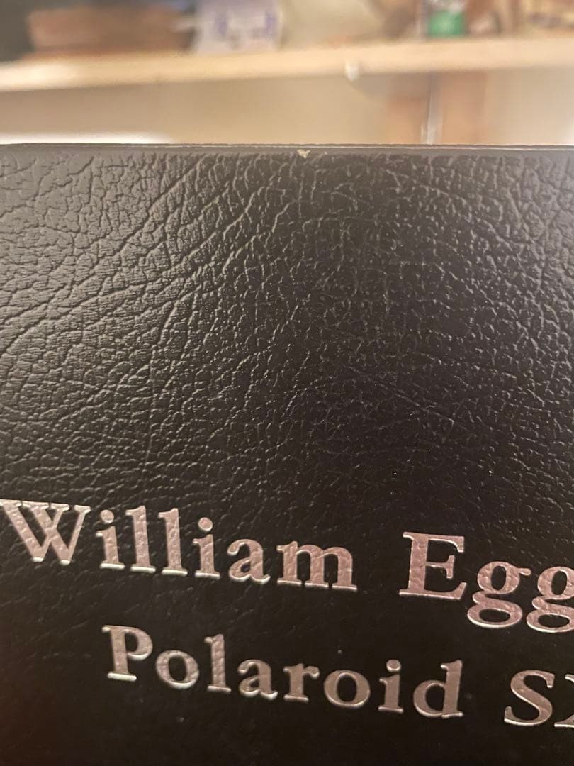 William Eggleston Polaroid SX-70 Steidl Photobook Hardcover | eBay