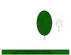 Imagen 5 de 5