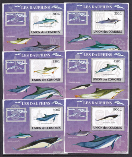 Comores 2009 poissons dauphins 6 S/feuilles édition deluxe neuf dans son emballage d'origine - Photo 1/1