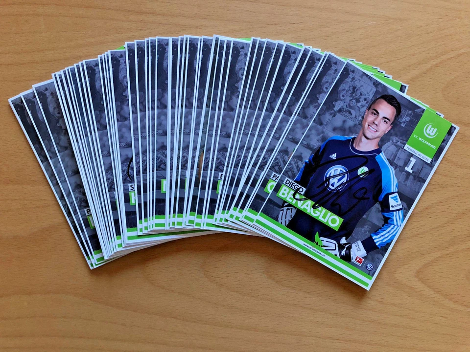 VfL Wolfsburg Autogrammkarte 2013-14 original signiert 1 AK aussuchen