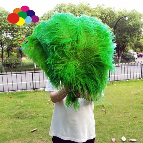5 pcs 70-75cm/28-30 inch Hard Rod high quality Ostrich Feathers for Crafts DIY - Picture 16 of 24