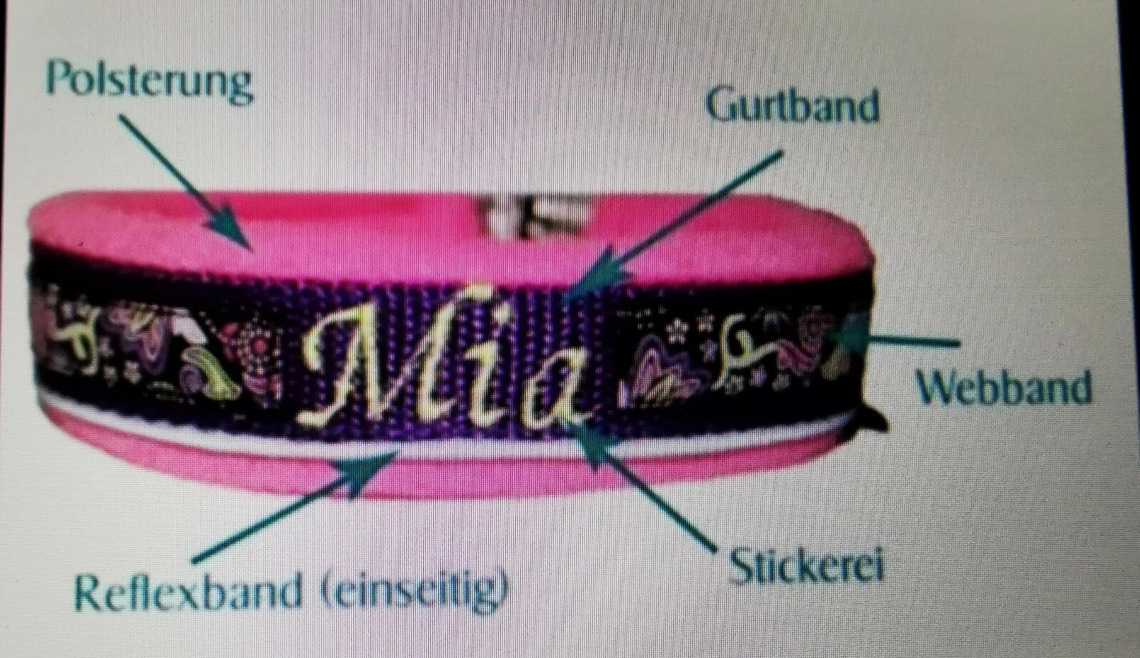 Bild 10 von 10