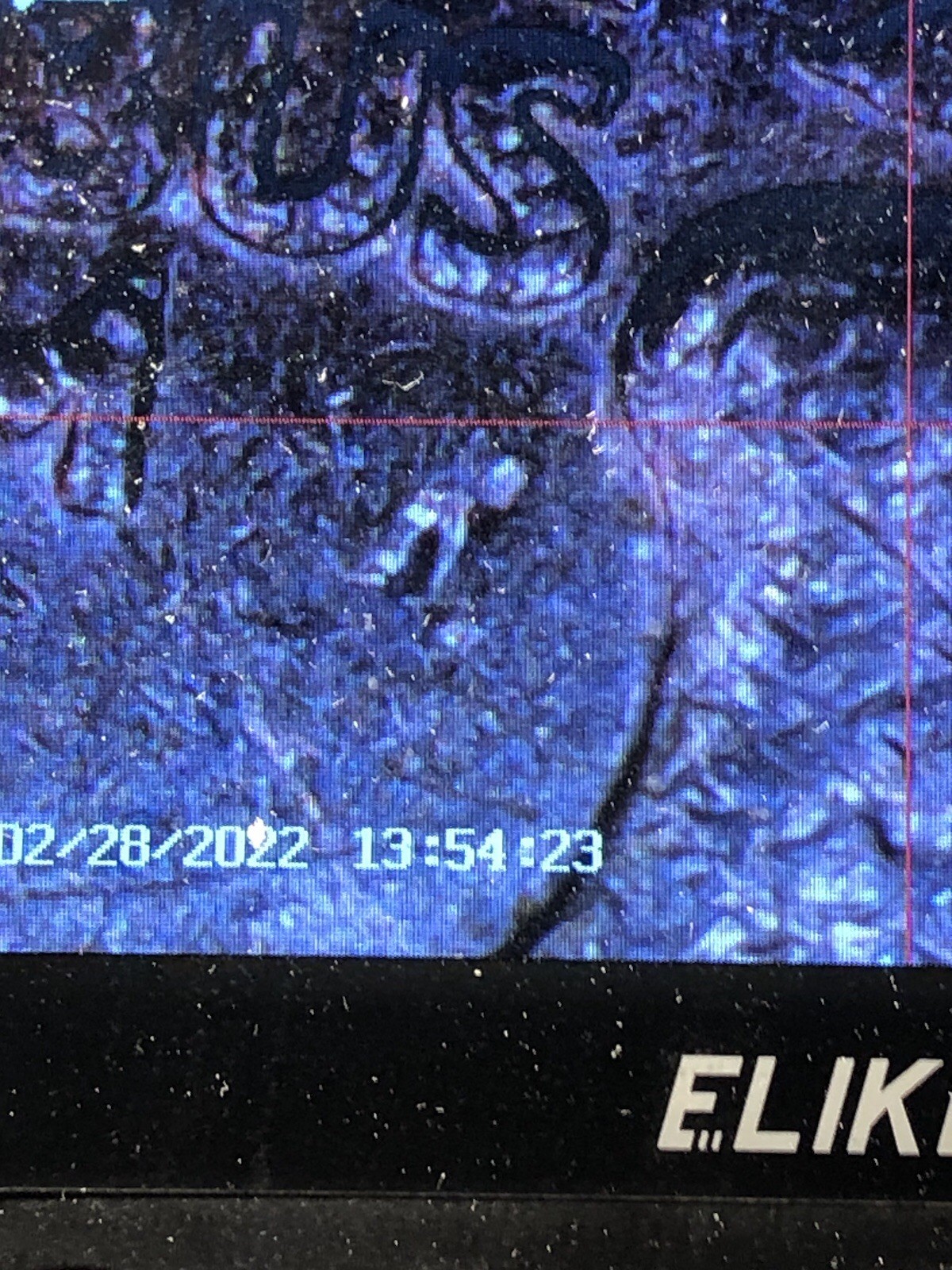 Picture 23 of 23