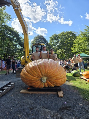 #ad #ad 2114.5 LBS GIANT PUMPKIN SEED ATLANTIC GIANT PUMPKIN SEED $30.00