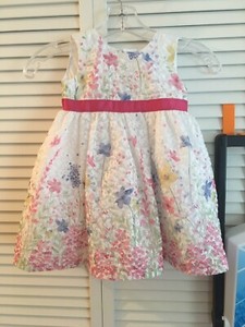 blueberi boulevard embroidered dress