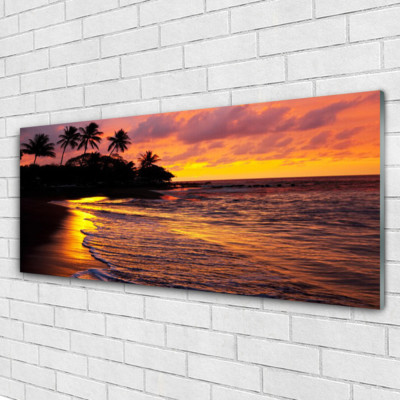 Impression sur verre acrylique Image tableau 125x50 Paysage Mouettes Mer