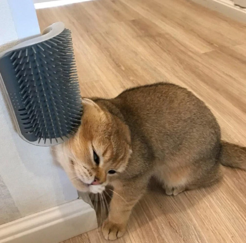 Cepillo autocuidado para gatos - Herramienta de peine de masaje y rascador facial de esquina de pared Foto 4 de 4