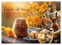 "Calendar 2027 · US Version · Today Is My Day (Wall Calendar 2027 12\" × 8\" Landsc"
