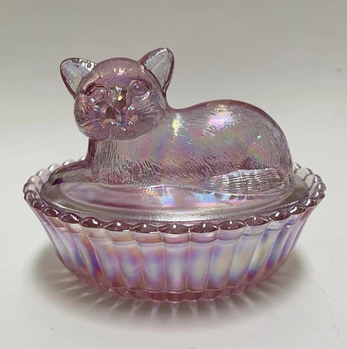 westmoreland cat products for sale | eBay