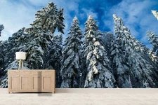 3D Snow Forest Wallpaper Wall Mural Removable Self-adhesive Sticker 114