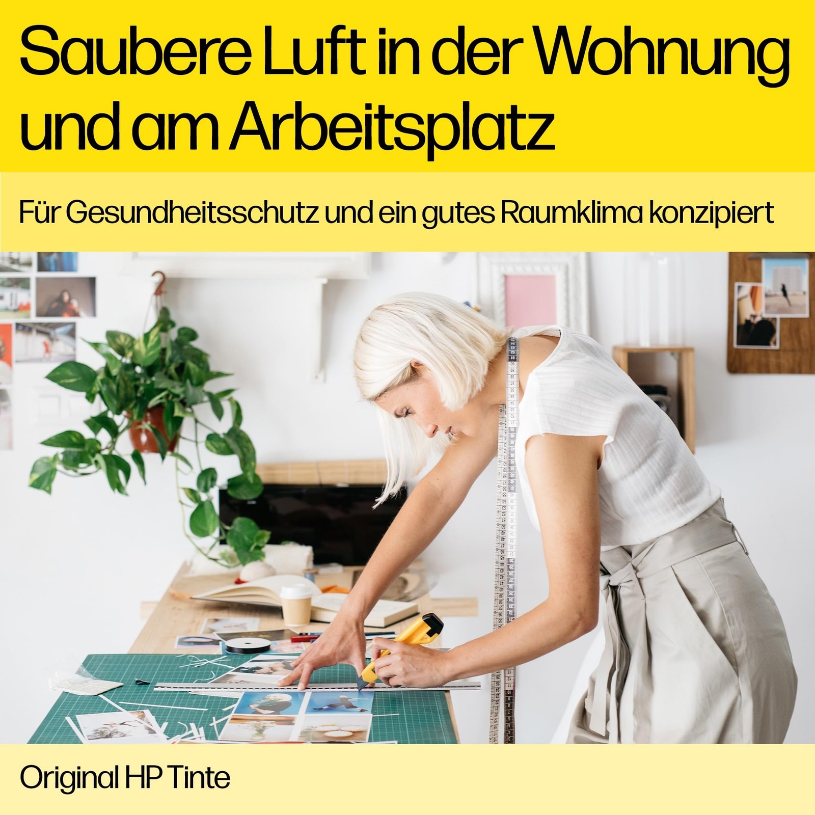Bild 7 von 24