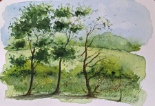 Original watercolor painting landscape nature and trees - 5,5 x 8,3 inches New