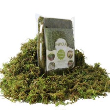 USMOLA Fake Green Moss for Potted Plants, 4OZ Artificial Moss for DIY Crafts,