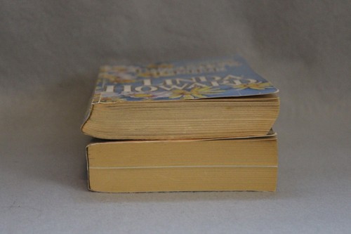 Patterson Cannon Family Series Both 2 Linda Howard Duncan's Evangeline PB Good - Imagen 8 de 13