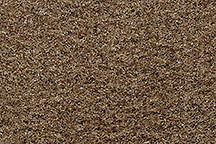 1976 Century, Regal, Cutlass, LeMans, Malibu 2/4-Door Automatic Cut-pile Carpet!