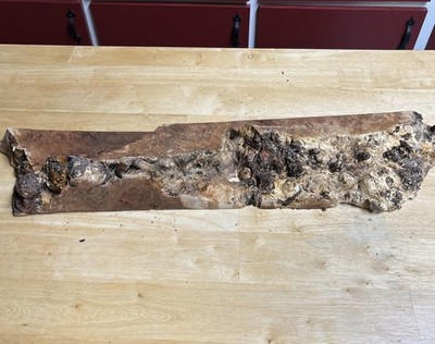 Live Edge Maple Wood Burl Cut Off 27   X 4.5  X 2 