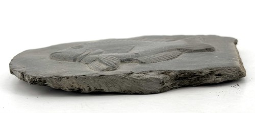 Hand Carved SOUTH AMERICAN STONE FISH SCULPTURE Belize - Signed CJJM - Picture 2 of 5
