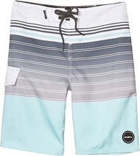O'Neill Kids Boy's Lennox Swim Shorts Big Kids Fog Size 29